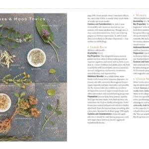 Herbal Guide Holistic Self-Care - Image 4