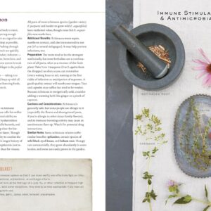 Herbal Guide Holistic Self-Care - Image 6